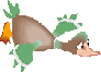 canard de l'ornain