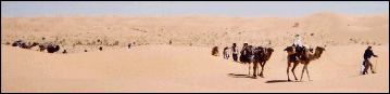 caravan