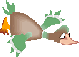 canard de l'ornain