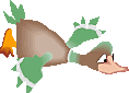 canard de l'ornain