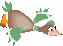 canard de l'ornain