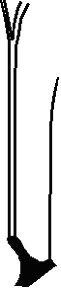 chapiteau8.jpg